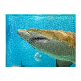 Обложка для студенческого билета с принтом Тигровая акула , натуральная кожа | Размер: 11*8 см; Печать на всей внешней стороне | голубое море | океан | рыба