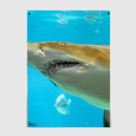 Постер с принтом Тигровая акула , 100% бумага
 | бумага, плотность 150 мг. Матовая, но за счет высокого коэффициента гладкости имеет небольшой блеск и дает на свету блики, но в отличии от глянцевой бумаги не покрыта лаком | голубое море | океан | рыба