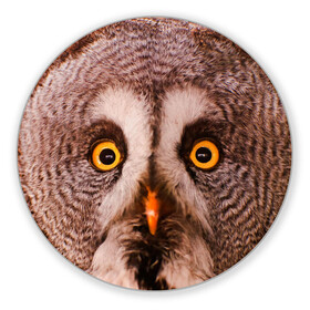 Коврик для мышки круглый с принтом Кофе , резина и полиэстер | круглая форма, изображение наносится на всю лицевую часть | Тематика изображения на принте: owl | мудрость | птица | сова | филин