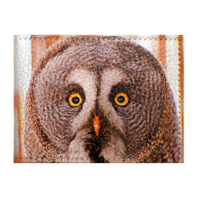 Обложка для студенческого билета с принтом Кофе , натуральная кожа | Размер: 11*8 см; Печать на всей внешней стороне | Тематика изображения на принте: owl | мудрость | птица | сова | филин