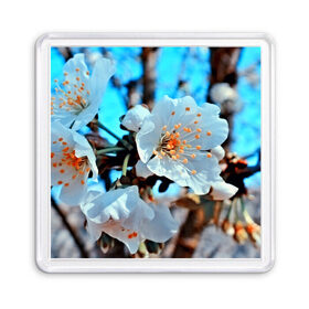 Магнит 55*55 с принтом Весна , Пластик | Размер: 65*65 мм; Размер печати: 55*55 мм | 3d | flower | весна | другие | красивые цветы | красные | лето | поле | полевой цветок | прикольные | природа | текстуры | цветочки | цветы
