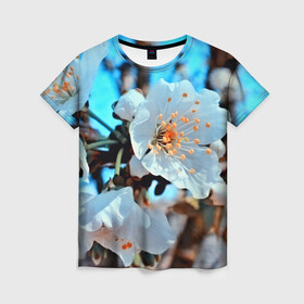 Женская футболка 3D с принтом Весна , 100% полиэфир ( синтетическое хлопкоподобное полотно) | прямой крой, круглый вырез горловины, длина до линии бедер | 3d | flower | весна | другие | красивые цветы | красные | лето | поле | полевой цветок | прикольные | природа | текстуры | цветочки | цветы