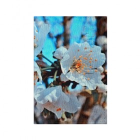 Обложка для паспорта матовая кожа с принтом Весна , натуральная матовая кожа | размер 19,3 х 13,7 см; прозрачные пластиковые крепления | 3d | flower | весна | другие | красивые цветы | красные | лето | поле | полевой цветок | прикольные | природа | текстуры | цветочки | цветы