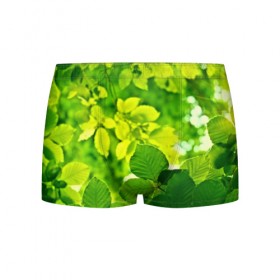 Мужские трусы 3D с принтом Зелёные листья , 50% хлопок, 50% полиэстер | классическая посадка, на поясе мягкая тканевая резинка | 