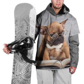 Накидка на куртку 3D с принтом Читает , 100% полиэстер |  | dog | мопс | пес | собака