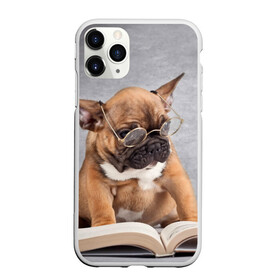 Чехол для iPhone 11 Pro матовый с принтом Читает , Силикон |  | dog | мопс | пес | собака