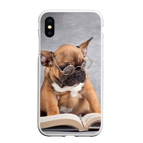 Чехол для iPhone XS Max матовый с принтом Читает , Силикон | Область печати: задняя сторона чехла, без боковых панелей | dog | мопс | пес | собака