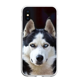 Чехол для iPhone XS Max матовый с принтом Хаски , Силикон | Область печати: задняя сторона чехла, без боковых панелей | dog | лабрадор | мопс | пес | собака | такса | хаски | щеночек