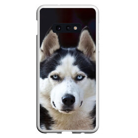 Чехол для Samsung S10E с принтом Хаски , Силикон | Область печати: задняя сторона чехла, без боковых панелей | dog | лабрадор | мопс | пес | собака | такса | хаски | щеночек