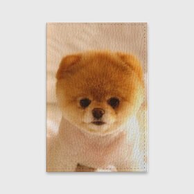 Обложка для паспорта матовая кожа с принтом Пушистик , натуральная матовая кожа | размер 19,3 х 13,7 см; прозрачные пластиковые крепления | Тематика изображения на принте: dog | пес | померанский | собака | шпиц | щеночек