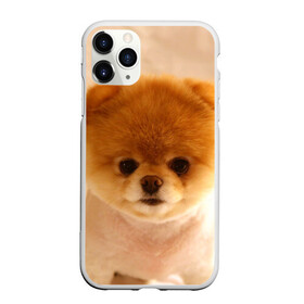Чехол для iPhone 11 Pro Max матовый с принтом Пушистик , Силикон |  | dog | пес | померанский | собака | шпиц | щеночек