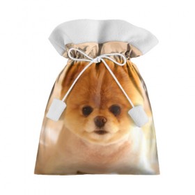 Подарочный 3D мешок с принтом Пушистик , 100% полиэстер | Размер: 29*39 см | dog | пес | померанский | собака | шпиц | щеночек