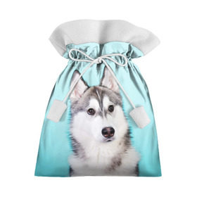 Подарочный 3D мешок с принтом Blue , 100% полиэстер | Размер: 29*39 см | dog | бандит | пес | собака | хаски | хаски бандит | щеночек
