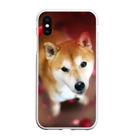 Чехол для iPhone XS Max матовый с принтом Love , Силикон | Область печати: задняя сторона чехла, без боковых панелей | Тематика изображения на принте: dog | ину | пес | сиба | сиба ину | собака