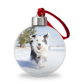 Ёлочный шар с принтом Snow , Пластик | Диаметр: 77 мм | dog | бордер | бордер колли | колли | пес | собака
