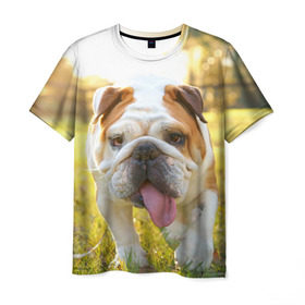 Мужская футболка 3D с принтом Funny Dog , 100% полиэфир | прямой крой, круглый вырез горловины, длина до линии бедер | dog | английский бульдог | пес | собака