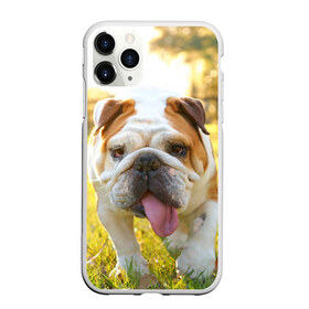 Чехол для iPhone 11 Pro Max матовый с принтом Funny Dog , Силикон |  | Тематика изображения на принте: dog | английский бульдог | пес | собака