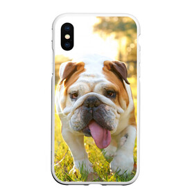 Чехол для iPhone XS Max матовый с принтом Funny Dog , Силикон | Область печати: задняя сторона чехла, без боковых панелей | dog | английский бульдог | пес | собака