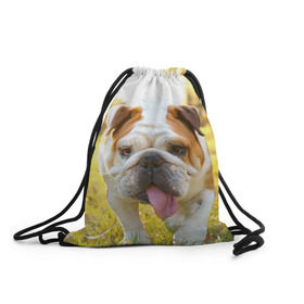 Рюкзак-мешок 3D с принтом Funny Dog , 100% полиэстер | плотность ткани — 200 г/м2, размер — 35 х 45 см; лямки — толстые шнурки, застежка на шнуровке, без карманов и подкладки | Тематика изображения на принте: dog | английский бульдог | пес | собака