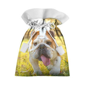 Подарочный 3D мешок с принтом Funny Dog , 100% полиэстер | Размер: 29*39 см | dog | английский бульдог | пес | собака