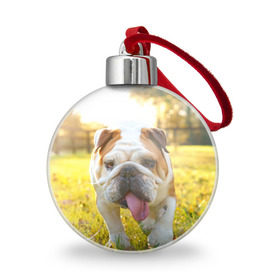 Ёлочный шар с принтом Funny Dog , Пластик | Диаметр: 77 мм | dog | английский бульдог | пес | собака