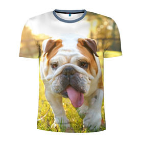 Мужская футболка 3D спортивная с принтом Funny Dog , 100% полиэстер с улучшенными характеристиками | приталенный силуэт, круглая горловина, широкие плечи, сужается к линии бедра | Тематика изображения на принте: dog | английский бульдог | пес | собака