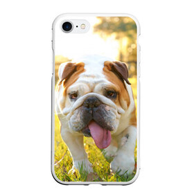 Чехол для iPhone 7/8 матовый с принтом Funny Dog , Силикон | Область печати: задняя сторона чехла, без боковых панелей | dog | английский бульдог | пес | собака