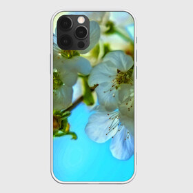 Чехол для iPhone 12 Pro Max с принтом Цветочки на дереве , Силикон |  | Тематика изображения на принте: 3d | flower | весна | другие | красивые цветы | лето | поле | полевой цветок | прикольные | природа | текстуры | цветочки | цветы