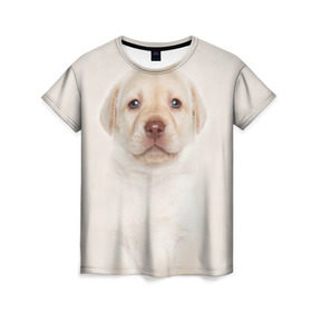 Женская футболка 3D с принтом Лабрадор , 100% полиэфир ( синтетическое хлопкоподобное полотно) | прямой крой, круглый вырез горловины, длина до линии бедер | dog | labrador | puppy | порода | собака | собачка | щенок