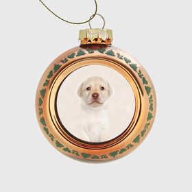 Стеклянный ёлочный шар с принтом Лабрадор , Стекло | Диаметр: 80 мм | dog | labrador | puppy | порода | собака | собачка | щенок