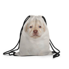 Рюкзак-мешок 3D с принтом Лабрадор , 100% полиэстер | плотность ткани — 200 г/м2, размер — 35 х 45 см; лямки — толстые шнурки, застежка на шнуровке, без карманов и подкладки | dog | labrador | puppy | порода | собака | собачка | щенок