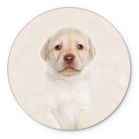 Коврик круглый с принтом Лабрадор , резина и полиэстер | круглая форма, изображение наносится на всю лицевую часть | dog | labrador | puppy | порода | собака | собачка | щенок