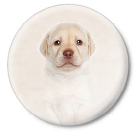 Значок с принтом Лабрадор ,  металл | круглая форма, металлическая застежка в виде булавки | Тематика изображения на принте: dog | labrador | puppy | порода | собака | собачка | щенок