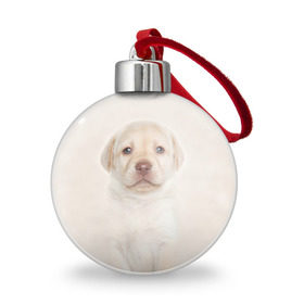 Ёлочный шар с принтом Лабрадор , Пластик | Диаметр: 77 мм | Тематика изображения на принте: dog | labrador | puppy | порода | собака | собачка | щенок