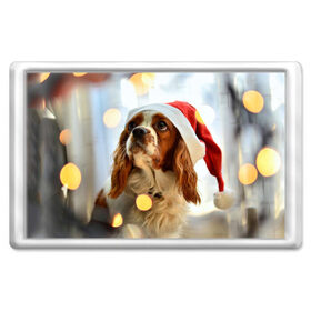 Магнит 45*70 с принтом Рождество , Пластик | Размер: 78*52 мм; Размер печати: 70*45 | dog | кавалер кинг чарльз спаниель | новый год | пес | рождество | собака