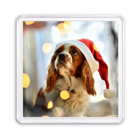 Магнит 55*55 с принтом Рождество , Пластик | Размер: 65*65 мм; Размер печати: 55*55 мм | dog | кавалер кинг чарльз спаниель | новый год | пес | рождество | собака