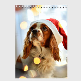 Скетчбук с принтом Рождество , 100% бумага
 | 48 листов, плотность листов — 100 г/м2, плотность картонной обложки — 250 г/м2. Листы скреплены сверху удобной пружинной спиралью | Тематика изображения на принте: dog | кавалер кинг чарльз спаниель | новый год | пес | рождество | собака