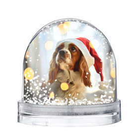 Водяной шар с принтом Рождество , Пластик | Изображение внутри шара печатается на глянцевой фотобумаге с двух сторон | dog | кавалер кинг чарльз спаниель | новый год | пес | рождество | собака