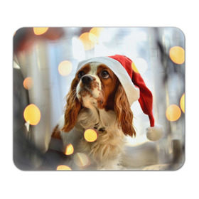 Коврик прямоугольный с принтом Рождество , натуральный каучук | размер 230 х 185 мм; запечатка лицевой стороны | dog | кавалер кинг чарльз спаниель | новый год | пес | рождество | собака