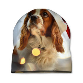 Шапка 3D с принтом Рождество , 100% полиэстер | универсальный размер, печать по всей поверхности изделия | dog | кавалер кинг чарльз спаниель | новый год | пес | рождество | собака