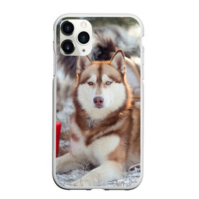 Чехол для iPhone 11 Pro матовый с принтом Хаски , Силикон |  | dog | лабрадор | мопс | пес | собака | такса | хаски | щеночек