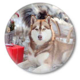 Значок с принтом Хаски ,  металл | круглая форма, металлическая застежка в виде булавки | dog | лабрадор | мопс | пес | собака | такса | хаски | щеночек