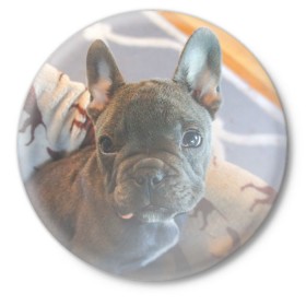 Значок с принтом Мопс ,  металл | круглая форма, металлическая застежка в виде булавки | пес