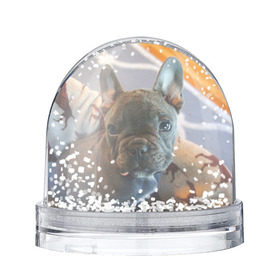 Снежный шар с принтом Французский бульдог , Пластик | Изображение внутри шара печатается на глянцевой фотобумаге с двух сторон | пес