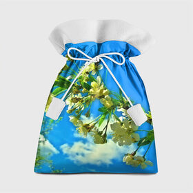 Подарочный 3D мешок с принтом Вишня , 100% полиэстер | Размер: 29*39 см | 3d | весна | другие | красивые цветы | лето | поле | полевой цветок | прикольные | природа | текстуры | цветочки | цветы