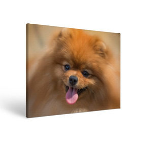 Холст прямоугольный с принтом Милашка , 100% ПВХ |  | Тематика изображения на принте: dog | пес | померанский | собака | шпиц | щеночек