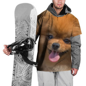 Накидка на куртку 3D с принтом Милашка , 100% полиэстер |  | Тематика изображения на принте: dog | пес | померанский | собака | шпиц | щеночек