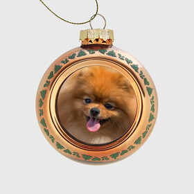 Стеклянный ёлочный шар с принтом Милашка , Стекло | Диаметр: 80 мм | Тематика изображения на принте: dog | пес | померанский | собака | шпиц | щеночек