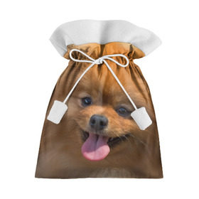 Подарочный 3D мешок с принтом Милашка , 100% полиэстер | Размер: 29*39 см | Тематика изображения на принте: dog | пес | померанский | собака | шпиц | щеночек
