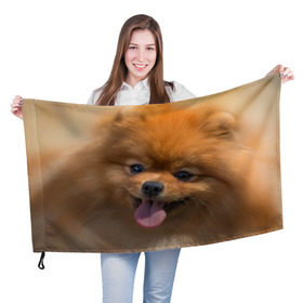 Флаг 3D с принтом Милашка , 100% полиэстер | плотность ткани — 95 г/м2, размер — 67 х 109 см. Принт наносится с одной стороны | dog | пес | померанский | собака | шпиц | щеночек